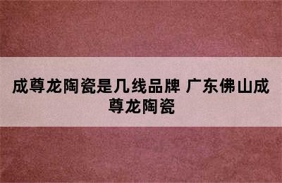 成尊龙陶瓷是几线品牌 广东佛山成尊龙陶瓷